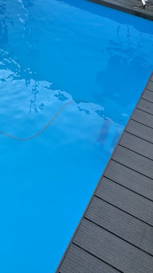 3F8375E4-315B-44D6-BB5E-6AEB01AC157F