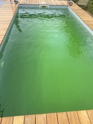 1D1741EA-F9B3-435E-A90C-73B7659A34EC