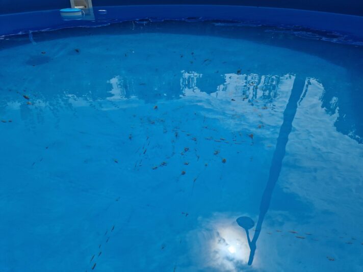 WhatsApp Image 2023-06-27 at 08.55.00 (2)