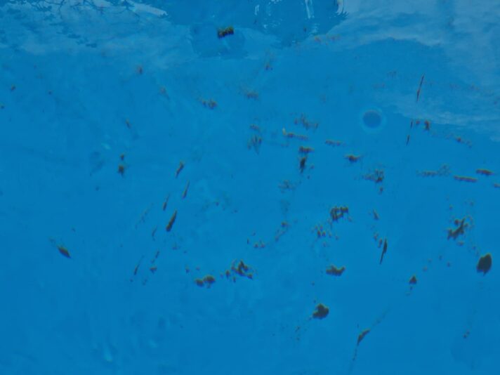 WhatsApp Image 2023-06-27 at 08.55.00