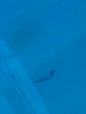 2492d817-569c-4863-aceb-73274e1b5f69