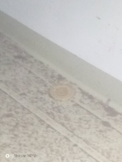 IMG_20240318_135906_974