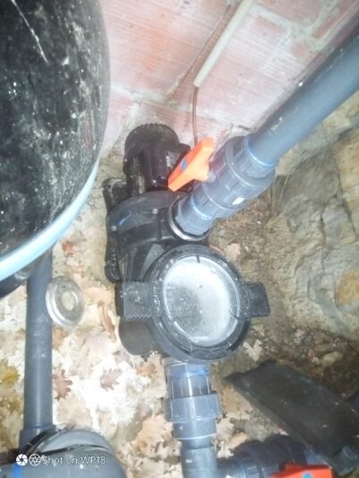 IMG_20240318_135739_268