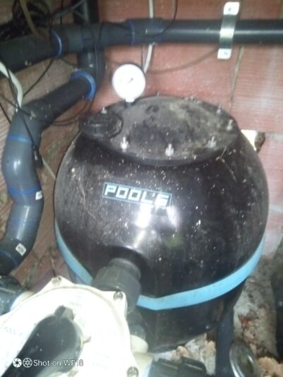 IMG_20240318_135643_887