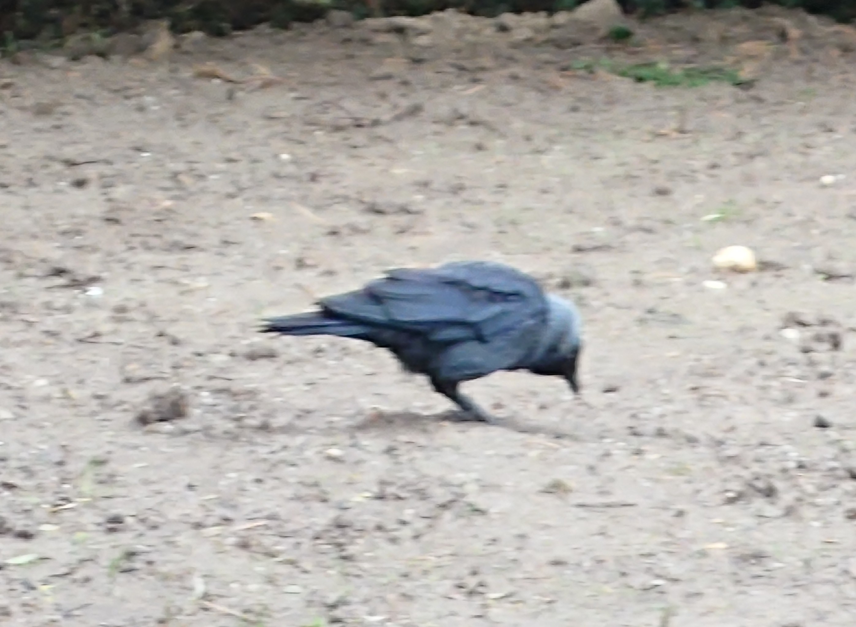 20240630_110004