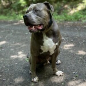 Profile photo of Jens