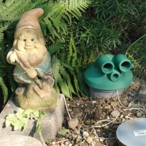 Bild von Bernd